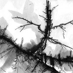 VERGÄNGLICHKEITEN. CADUCITIES. 2008. ink and charcoal on paper. 28 x 19 cm. drama illustration