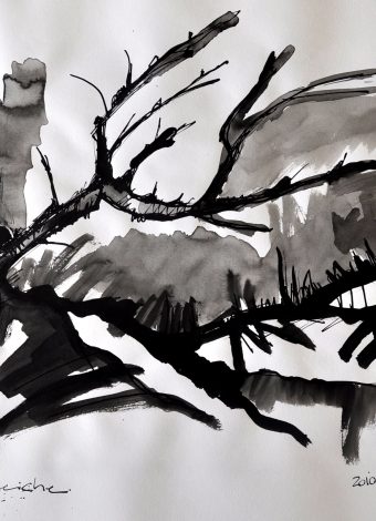 THE BLUE OAK. 2010. 42x30 cm/ 16.5x11.8 in. ink, graphite and charcoal on heavy handmade paper